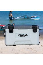 Igloo CoreMAX 45 Buzluk 45 Litre - Görsel 2
